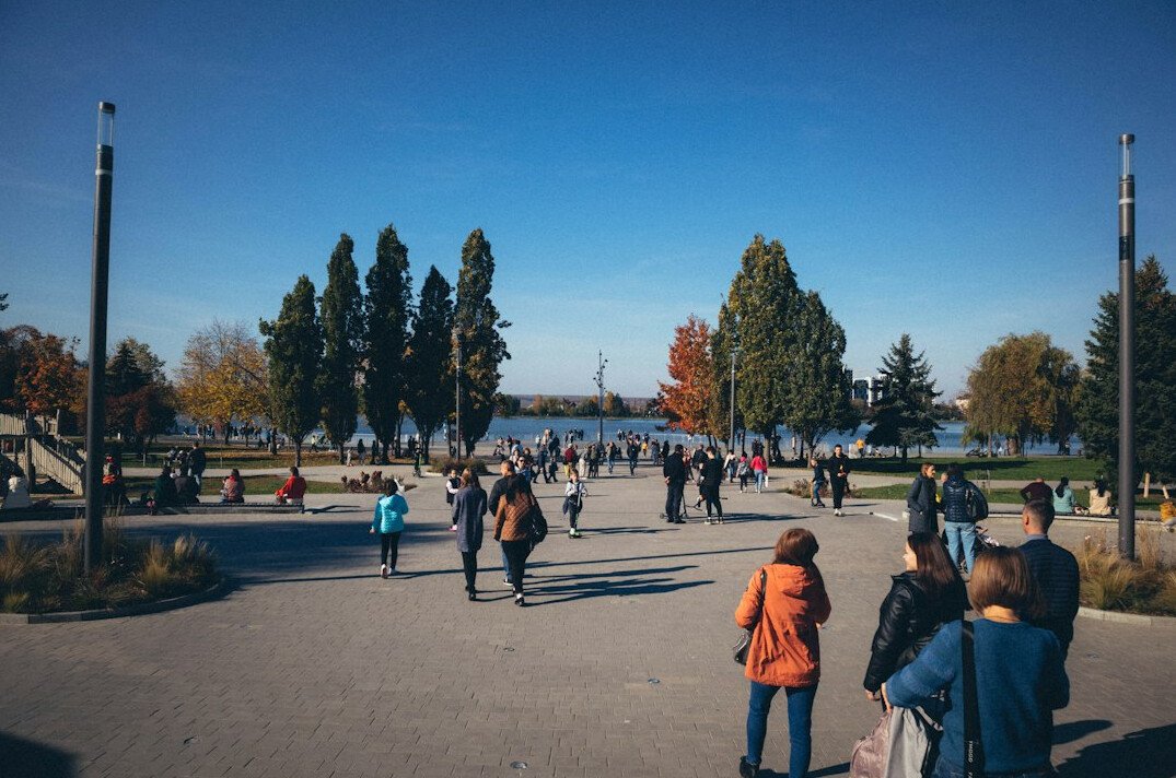 people walking in park